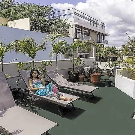 Estudios Selva Y Mar By Bfh