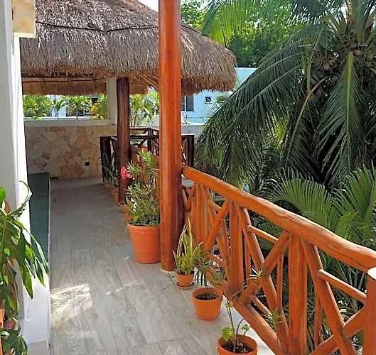 Hotel Estudios Selva Y Mar By Bfh