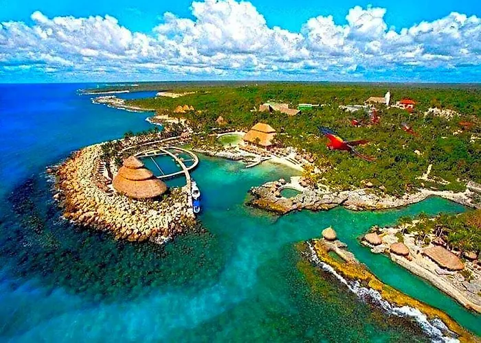 Estudios Selva Y Mar By Bfh Hotel