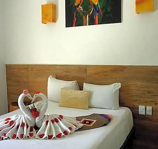 Hotel Estudios Selva Y Mar By Bfh