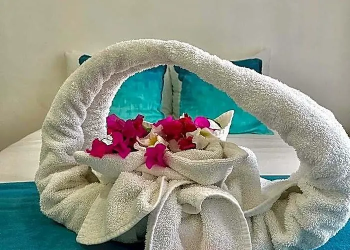 Estudios Selva Y Mar By Bfh Hotel Playa del Carmen