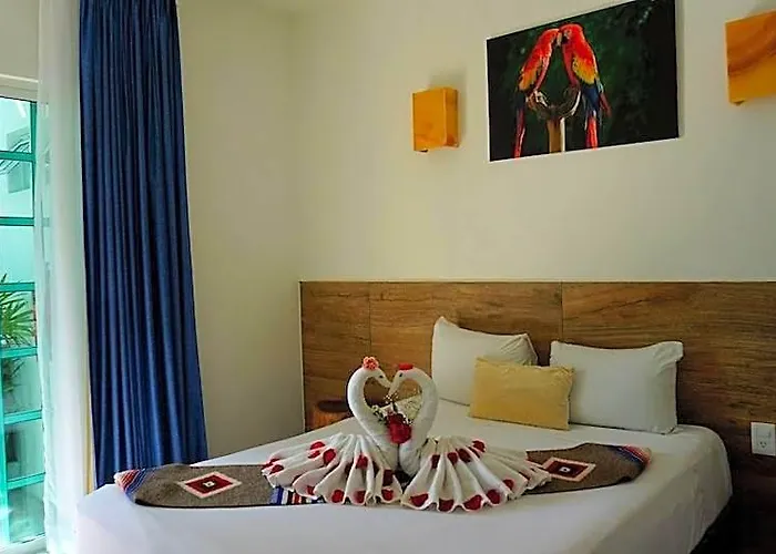 Estudios Selva Y Mar By Bfh Hotel 3*