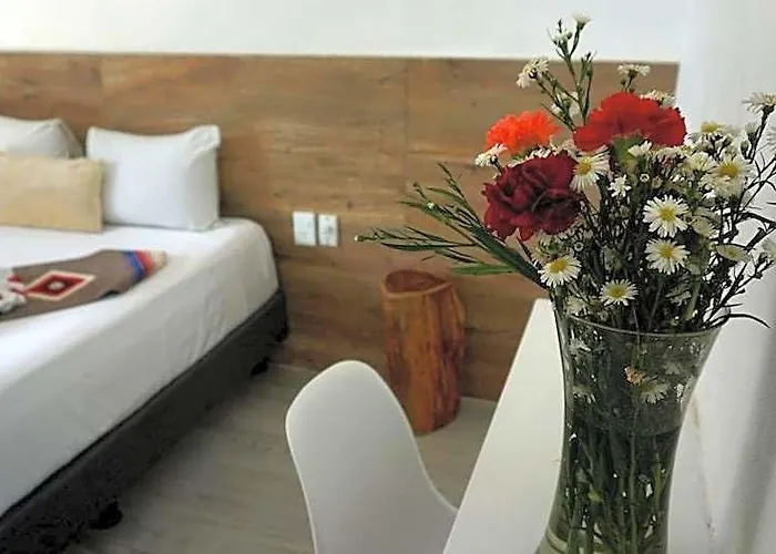 Hotel Estudios Selva Y Mar By Bfh