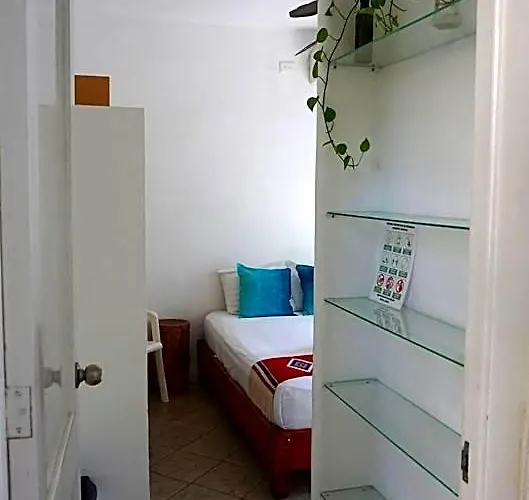 Hotel Estudios Selva Y Mar By Bfh