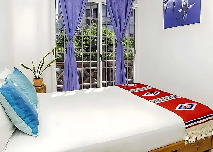 Hotel Estudios Selva Y Mar By Bfh 3*